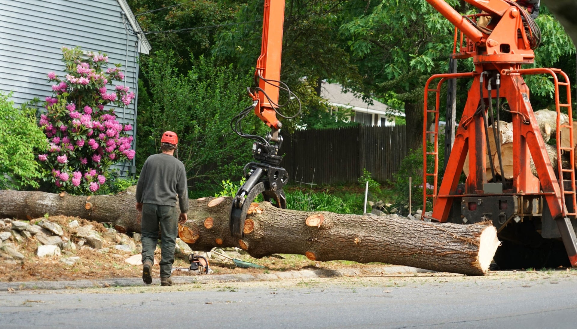 Local partner for Tree removal services in Greeley