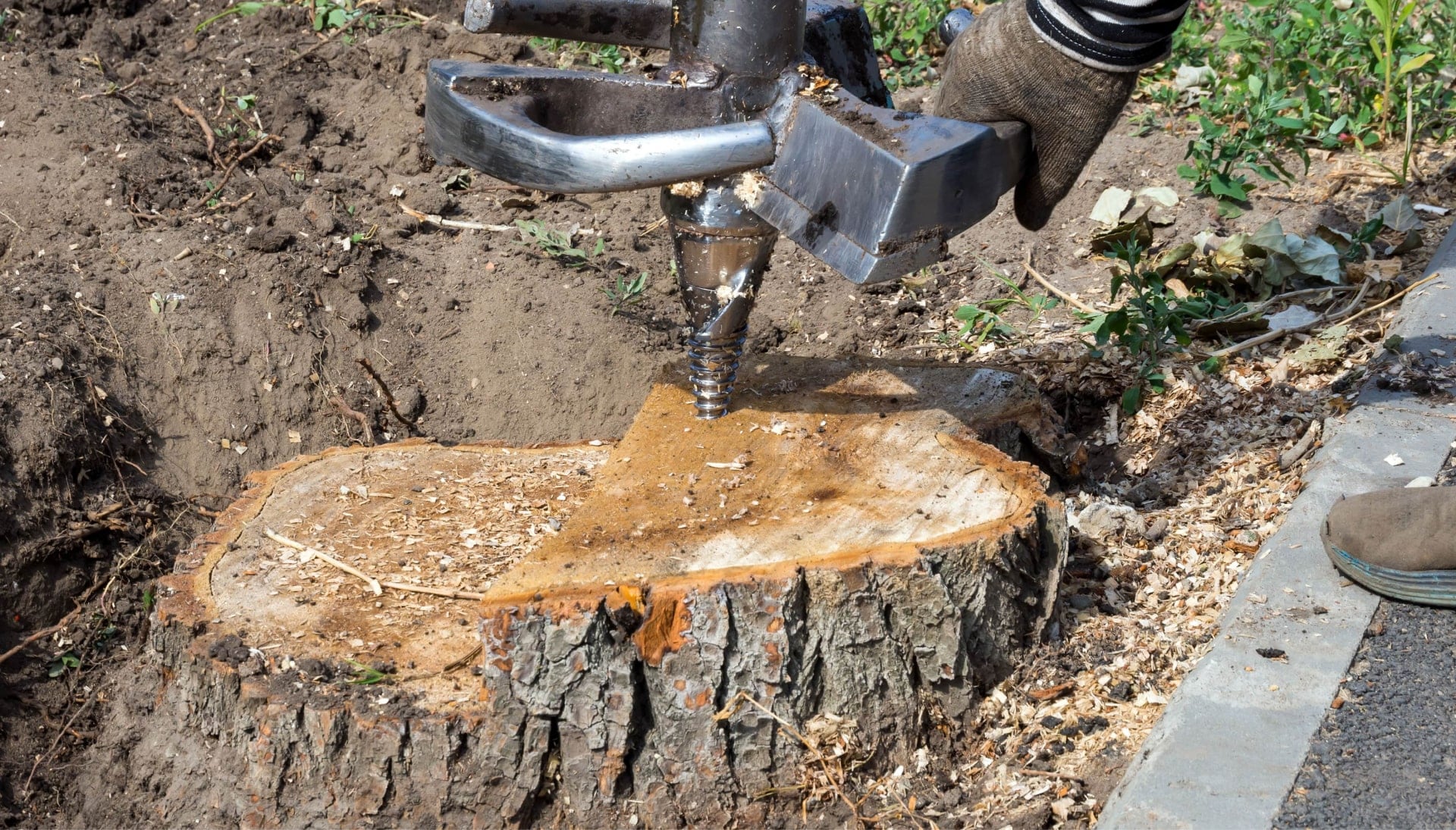 Greeley Tree stump removal